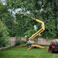 Best Tree Risk Assessment  in Ebensburg, PA